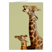 Giraffe Family Gift Cards