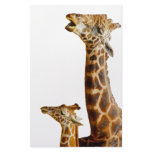 Giraffe Family Gift Giraffe Family Gift