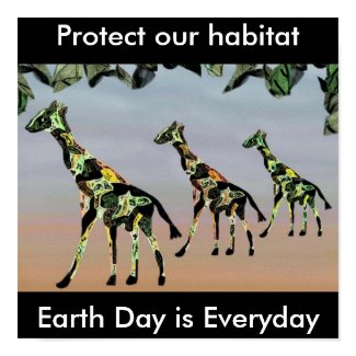 Giraffe Family Habitat Poster print