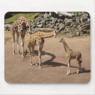 Giraffe Family mousepad