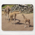 Giraffe Family Mouse Pads