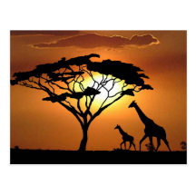 giraffe family post card