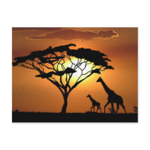giraffe family postcards by wildlifeart giraffe family postcards
