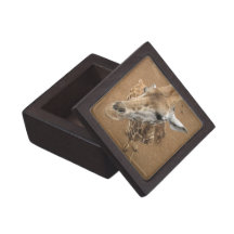 Giraffe Gaze Premium Gift Box