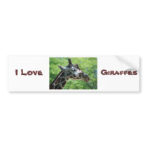 Giraffe Good Hair Day bumper stickers