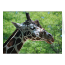 Giraffe Good Hair Day cards