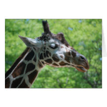 Giraffe Good Hair Day Greeting Card