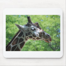 Giraffe Good Hair Day mousepads