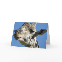 Giraffe greeting card