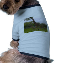 Giraffe group pet clothing