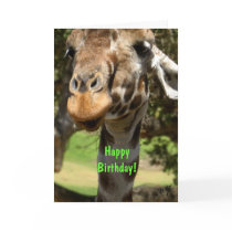 Giraffe, Happy Birthday! cards by graphicdoodles Giraffe, Happy Birthday! cards