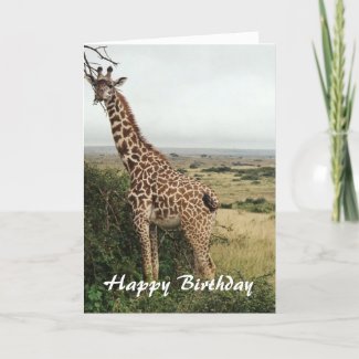 Giraffe happy birthday card