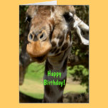 Giraffe, Happy Birthday! cards