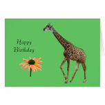 Giraffe, Happy Birthday Card