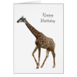 Giraffe, Happy Birthday Card