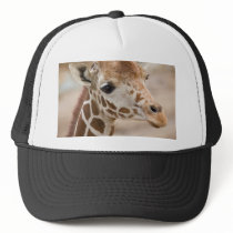 giraffe hats