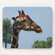 Giraffe head against blue sky photograph picture mousepad