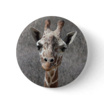 giraffe head front view buttons