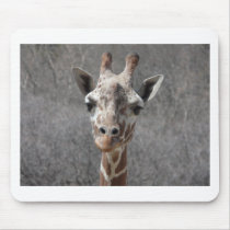giraffe head front view mousepads