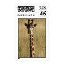 giraffe head postage