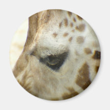 Giraffe I Fridge Magnets