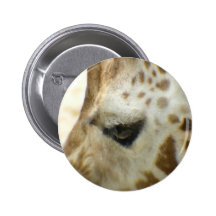 Giraffe I Pins