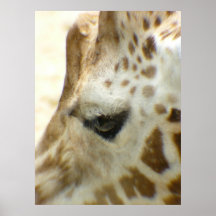 Giraffe I Poster