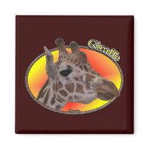 Giraffe In Oval magnets