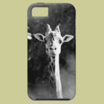 giraffe casemate cases