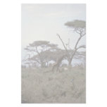 Giraffe, Kenya Stationery Paper