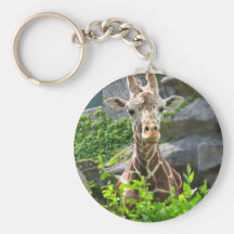 Giraffe Key Chains