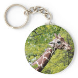 Giraffe Keychain