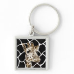 giraffe key chain