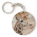 giraffe keychains