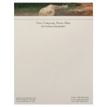 Giraffe Letterhead