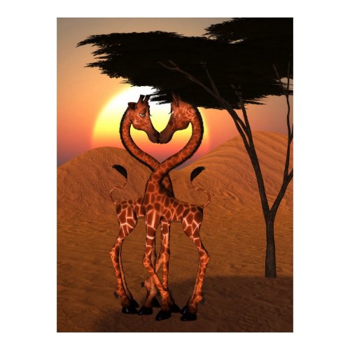 Giraffes Love