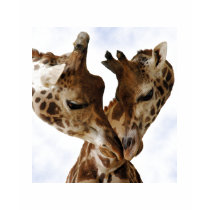 giraffe love t-shirts