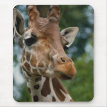 Giraffe Lovers Art Gifts mousepads