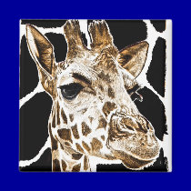 giraffe magnets