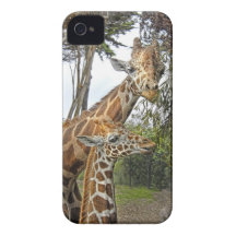 Giraffe Mom and Baby iPhone 4 Covers