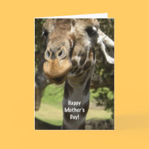 giraffe mother's day card by graphicdoodles giraffe mother's day card