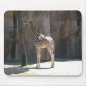 giraffe mousepads by jdspenguins giraffe mousepads