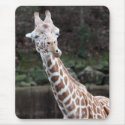 Giraffe mousepads by iiiyaaa Giraffe mousepads