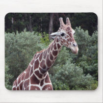 Giraffe mousepads by Jack_of_Arts Giraffe mousepads