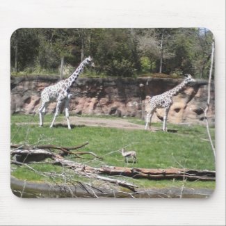 Giraffe mousepad