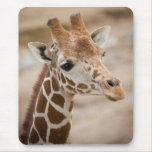 giraffe mouse pads