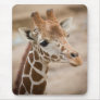 giraffe mouse pads