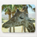 Giraffe Mousepad by dlgray Giraffe Mousepad