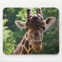 Giraffe Mousepad by SabineSt Giraffe Mousepad
