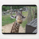 Giraffe mousepads